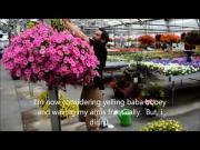 Correctly Watering Hanging Baskets