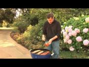 Rib Grilling Tips